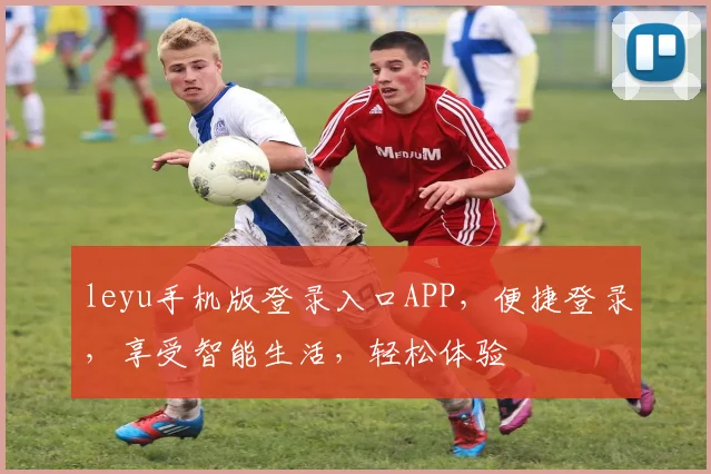 leyu手机版登录入口APP，便捷登录，享受智能生活，轻松体验